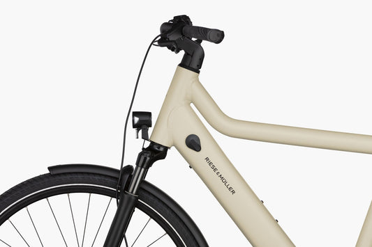 Riese & Müller Kultur Touring