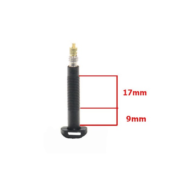 Pair of Carbon Tubeless Presta Valves - 35mm