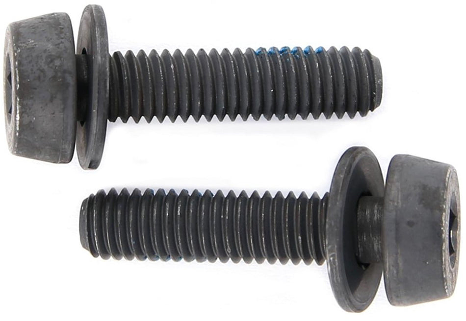 Montageschrauben Campagnolo für Scheibenbremsen