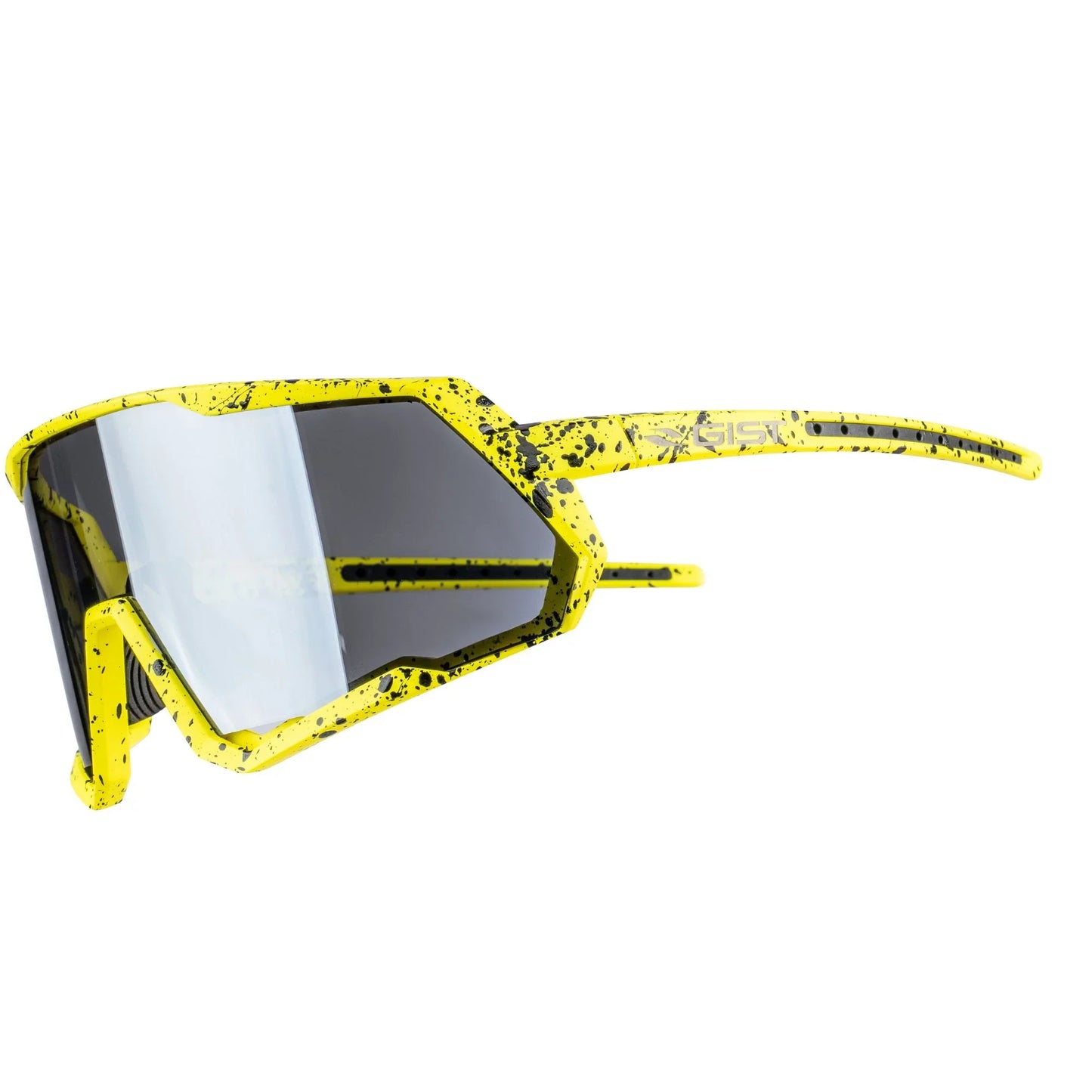 Gafas de máscara Gist