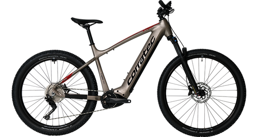 Corratec E-Power X-Vvert Pro Gent (24)