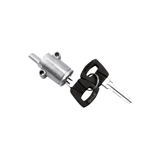 Bosch - Standard lock cylinder for BOSCH PowerTube battery (BDU2XX, BDU3XX, BDU4XX)