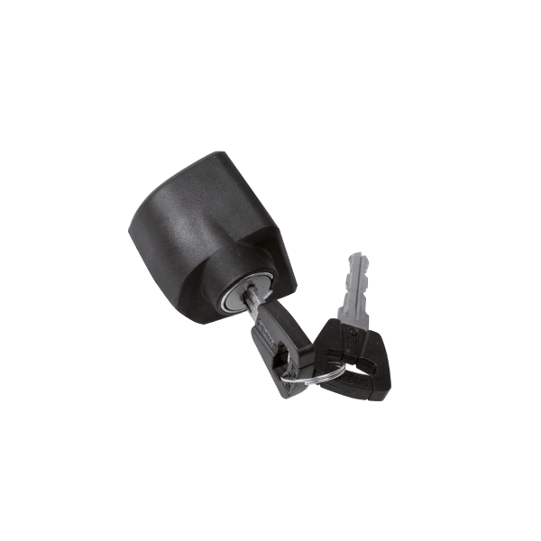 Bosch - Standard lock cylinder for frame battery, Classic+, black Bosch Abus, includes cylinder and keys