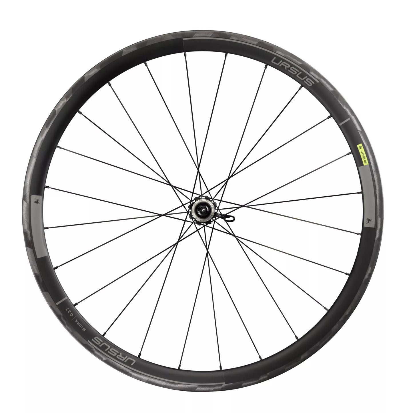 Ursus Miura C37 Rim Felle