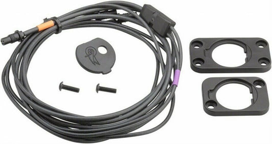 Câblage de l'interface interne Campagnolo Super Record EPS