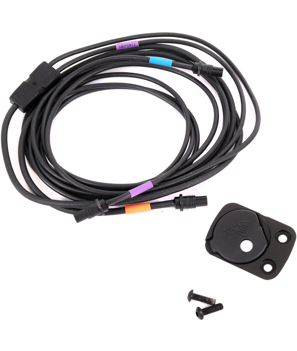 Campagnolo Verkabelung für interne Rahmeninterface Montage