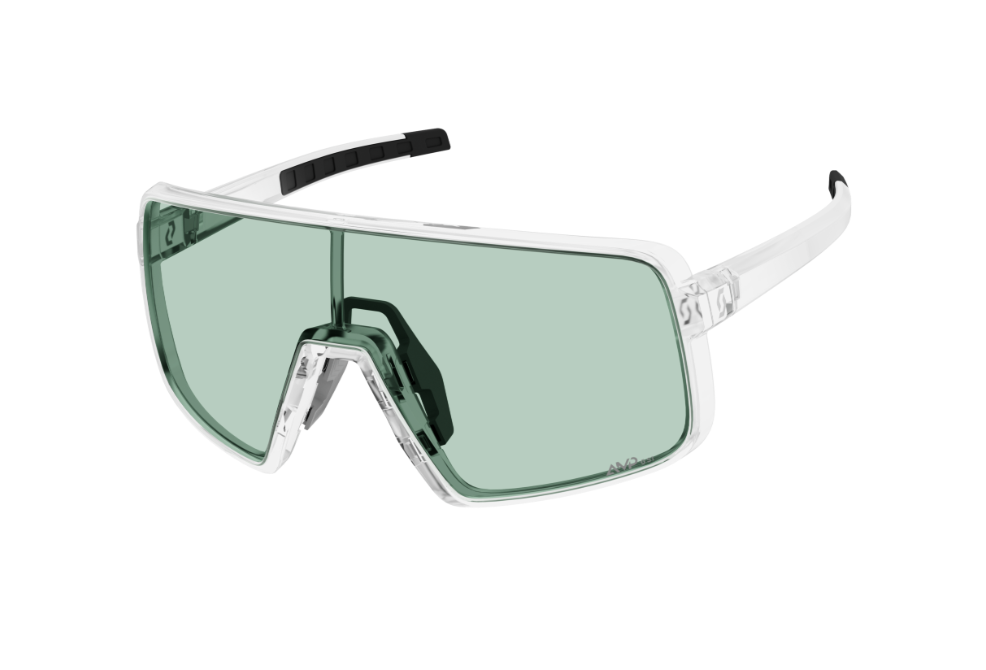 Sonnenbrille Scott Torisch