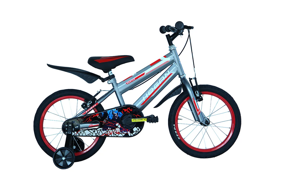 Masciaghi 16" 1V Bike