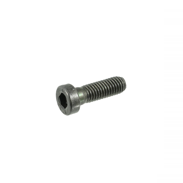 Oli Ebike Systems - OLI SPORT Motor Mounting Screw - 6 screws needed per motor