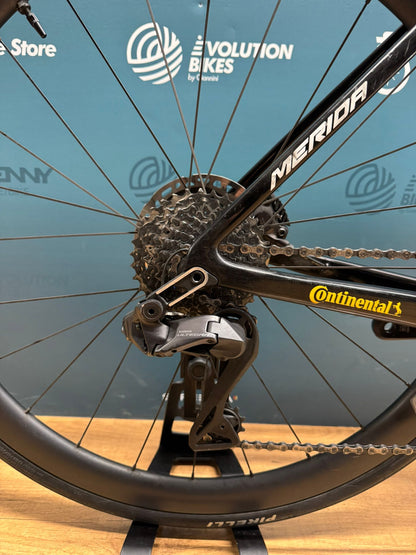 Merida-Skulptur Bahrain siegreiche Größe M - Gebraucht