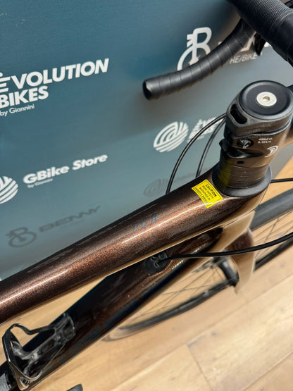 Giant TCR 2 Disc Size S - Used