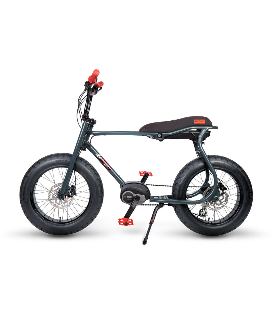 e-Bike Lil'Buddy with Active Line motor