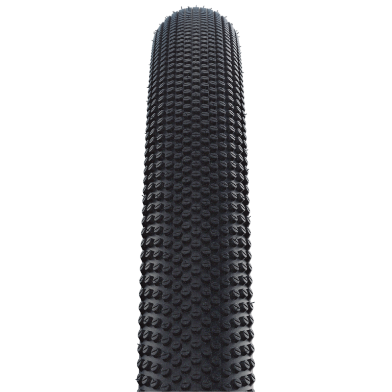 Schwalbe G-One Allround Evo tire, SnakeSkin, TLE 29x2.25