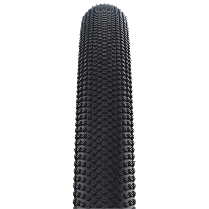 Schwalbe G-One Allround Evo tire, SnakeSkin, TLE 29x2.25