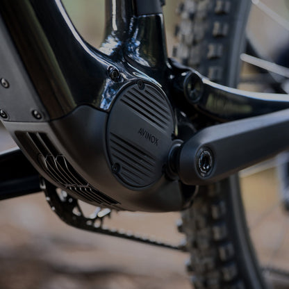 AMFLOW PL Carbon Pro (800WH)