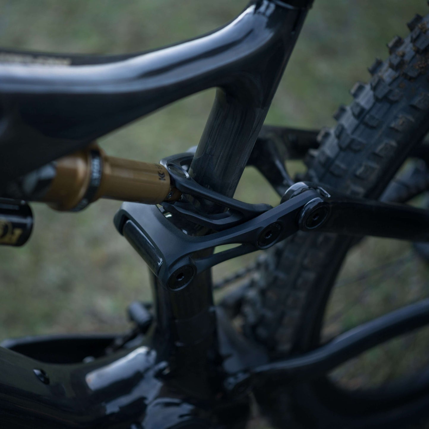 AMFLOW PL Carbon Pro (800WH)