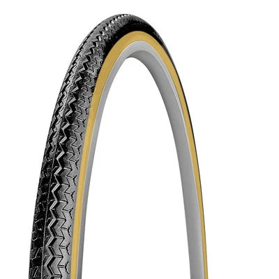 Michelin World Tour Tire
