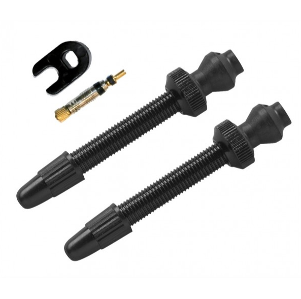 Pair of 45mm Aluminum Presta Valves for Tubeless