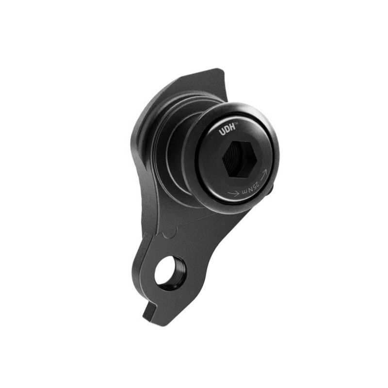 Sram ABP UDH DS 20 Dropout